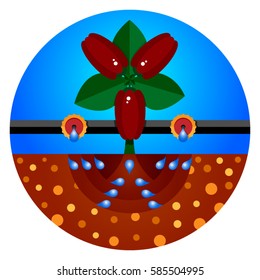 Sistemas de riego por goteo.