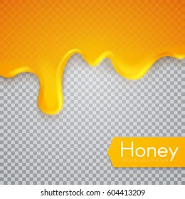 Dripping Honey Abstract Transparent Background. Sweet Space. Vector illustration