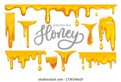 Dripping honey on white background. colorful collection of delicious honey drops. Melted honey isolated on white background. Vector illustration.