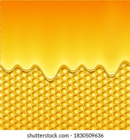 dripping honey,on a Honeycomb background