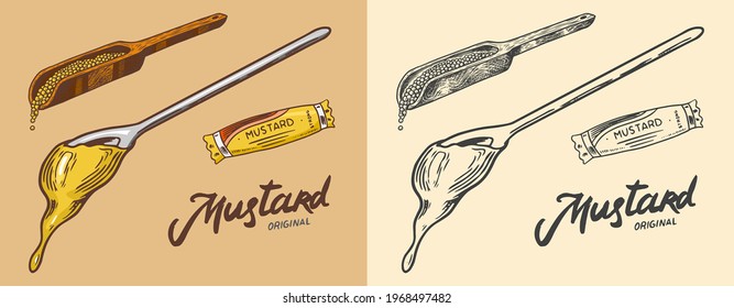 Dripping Mustard or Spicy Hot condiment. Splashing liquid. Sauce and seeds on a spoon. Illustration for Vintage background or poster. Engraved hand drawn sketch.