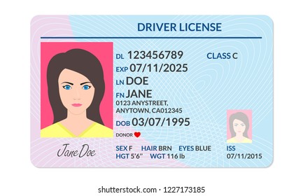 Driver license with female photo. Identification or ID card, document template. Vector illustration.