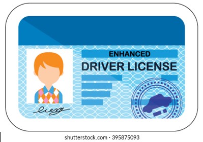 Driver license. Vector. Cartoon style document.