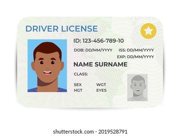 Drivers License. A plastic identity card. Vector flat illustration of the template.