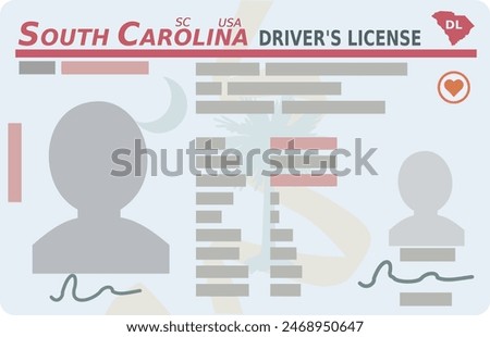 Driver's license from the US state of South Carolina in flat design style (cut out)