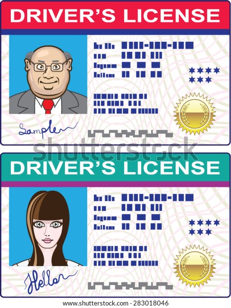 Drivers License Vector File Mans Girls Stock Vector (Royalty Free ...