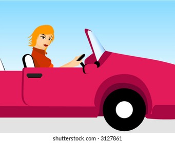 Driving a Car - Vector