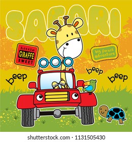driving a good car,vector animal illustration