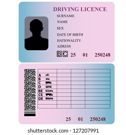 Driving license. Vector illustration.