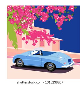Driving Summer Coast