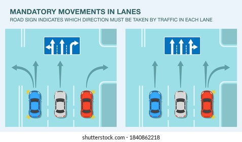 Driving tips and traffic regulation rules. Lane direction road sign meaning. Mandatory movements in lanes infographic. Flat vector illustration template.