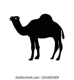 Dromedar animal sahara camel icon | Black Vector illustration |