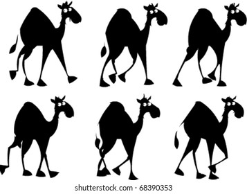 The dromedary or Arabian camel