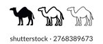 Dromedary camel icon set in different styles.