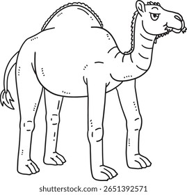 Dromedary Camel Isolated Coloring Page for Kids 