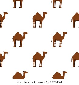 Dromedary camel pattern seamless background in flat style repeat vector illustration