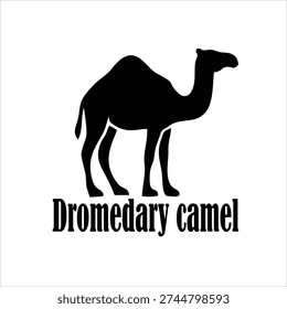 Dromedary Camel Silhouette Vector Illustration Isolated on White Background