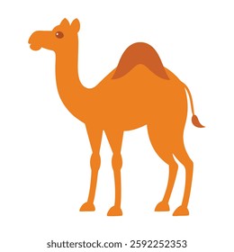 "Dromedary camel vector illustration featuring a detailed, high-quality depiction of the iconic one-humped camel. Perfect for digital designs, educational materials, and commercial use. Available in 