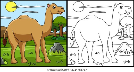 Dromedary Coloring Page Vector Illustration