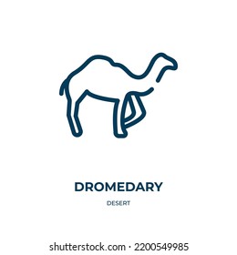 Dromedary icon. Linear vector illustration from desert collection. Outline dromedary icon vector. Thin line symbol for use on web and mobile apps, logo, print media.