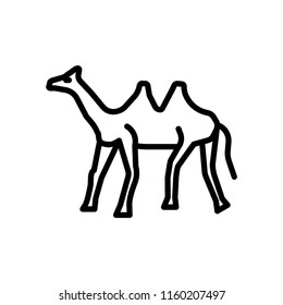Dromedary icon vector isolated on white background, Dromedary transparent sign