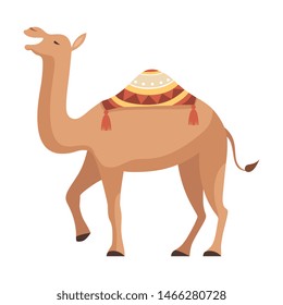 Dromedary, One Humped Camel with Bridle and Saddle Decorated with Ethnic Ornament Vector Illustration