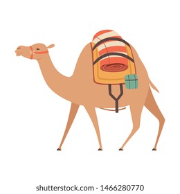 Dromedary, One Humped Camel with Saddle and Load, Side View Vector Illustration