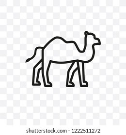 Dromedary vector linear icon isolated on transparent background, Dromedary transparency concept can be used for web and mobile