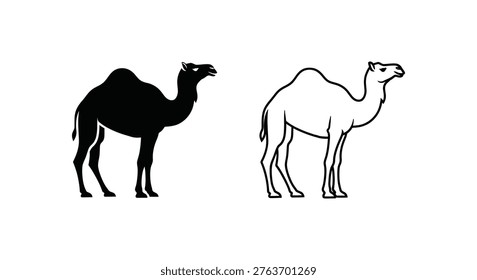 Dromedary vs Bactrian Camel Key Differences Vector