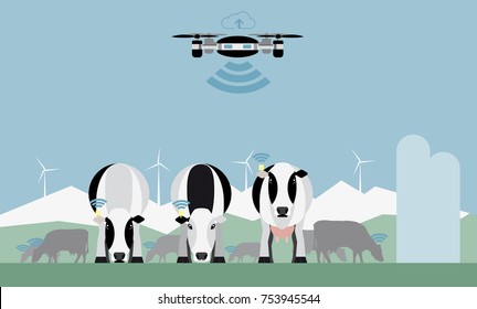 Drone counts cows. Robot shepherd. Internet of things in agriculture. Vector illustration