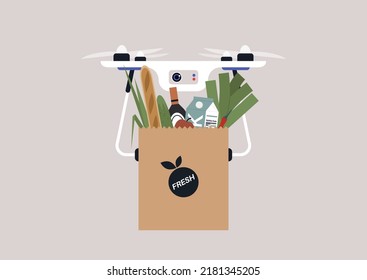 A drone delivering grocery in a brown paper bag, organic food concept