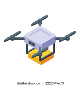 Drone delivery icon isometric vector. Fast speed shipping. Express order