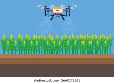 Drone spraying over corn crops. Modern agricultural and plantation technology