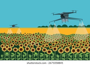 Drohnenbesprühen in einem Sonnenblumenfeld. Drohnendiensttechnik für Landwirtschaft und Plantagen