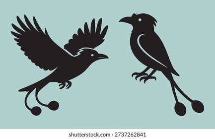 Drongo bird silhouette. Racket tail avian. Flying and perching poses. Exotic forest animal. Unique bird vector art.