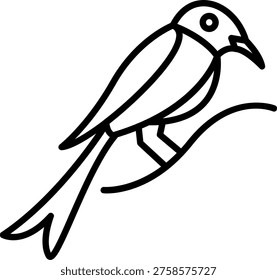 Drongo Vector Line Icon Style