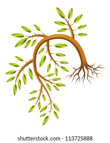 A drooping sapling illustration. Eps 10 Vector.