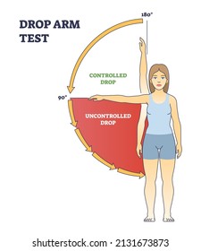 Drop arm test to diagnose medical physiopedia with arm movement outline diagram. Labeled educational scheme with controlled and uncontrolled muscular rotator cuff tears procedure vector illustration.