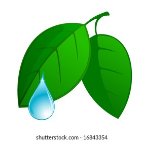 drop and leaf