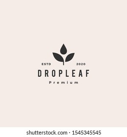 drop leaf logo hipster retro vintage vector icon	