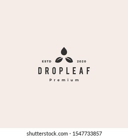 drop leaf logo hipster retro vintage vector icon	