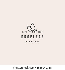 drop leaf logo hipster retro vintage vector icon	