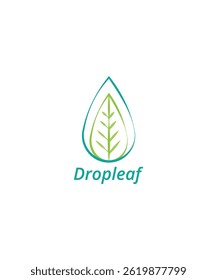 Drop leaf logo, water drop with leaf logo, abstract leaf logo design
