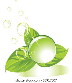 Drop with leaves and bubbles. Vector