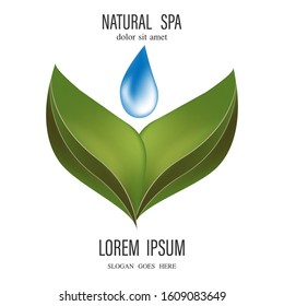 Drop With Leaves Logo. Aromatherapy Logo.ikon With A Drop Of Leaf Essential Oil. Aromatherapy, Perfumes, Cosmetics, Spa Logo.