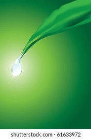 drop on the edge of leaf on a green background