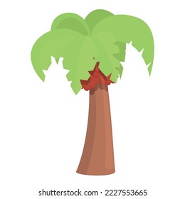 Drop palm tree icon cartoon vector. Fruit food. Tropical product