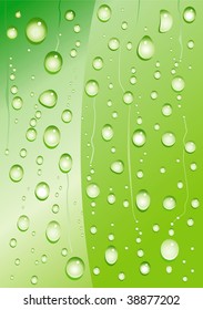 Drop Plant Drawing