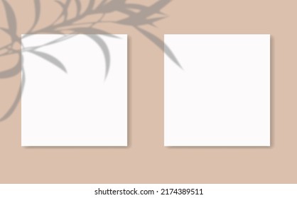Drop shadow overlay effect on sheets of paper.Modern minimalist style.Scenes of natural lighting.For presentation  poster, blank, flyer,invitation,logo.