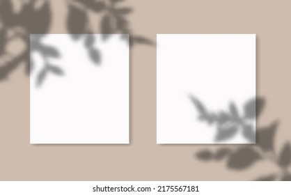 Drop shadow overlay effect on sheets of paper.Modern minimalist style.Scenes of natural lighting.For presentation  poster, blank, flyer,invitation,logo.